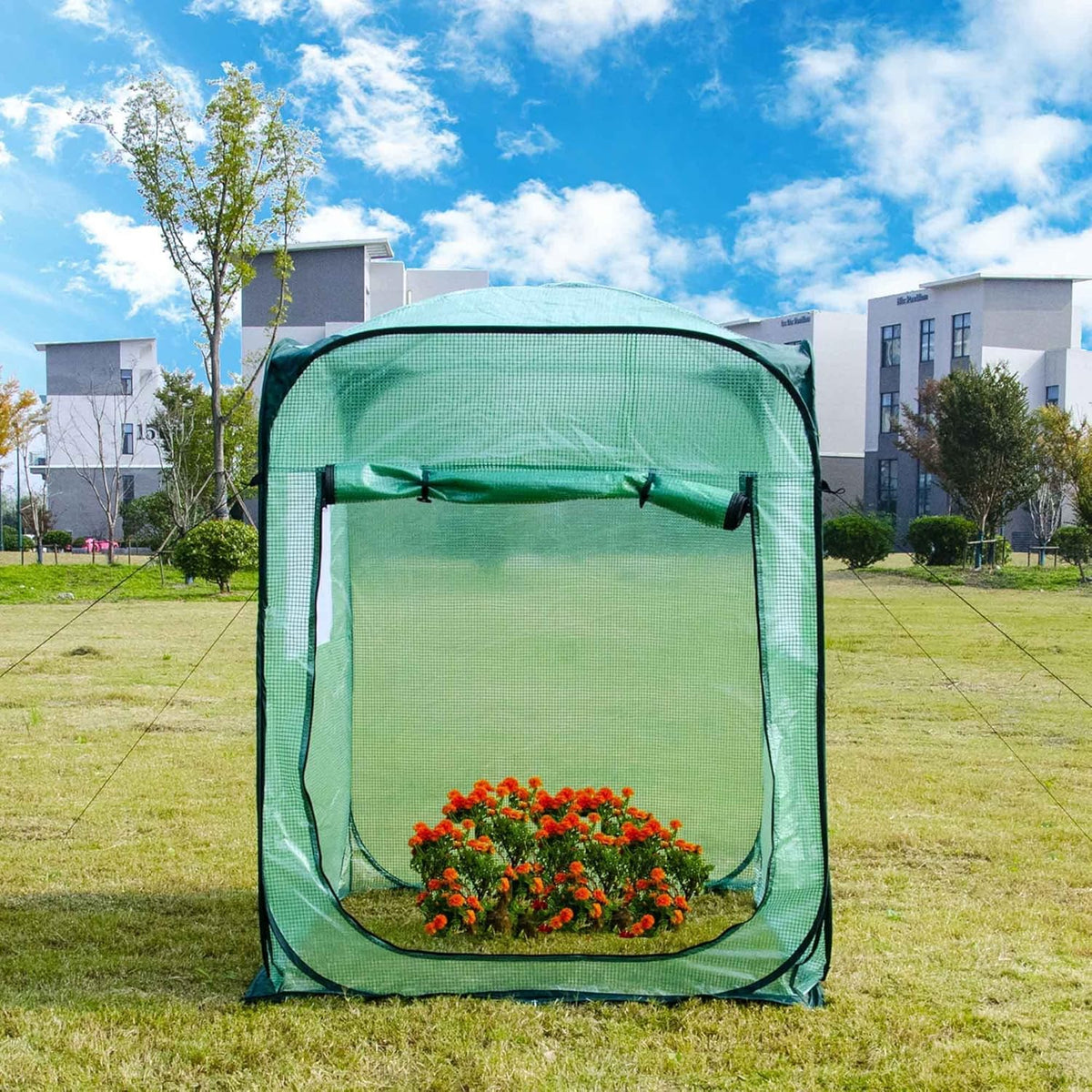 Porayhut Pop Up Greenhouse Tent,Portable X-Large Walk-in Flower House ,Indoor Outdoor Gardening