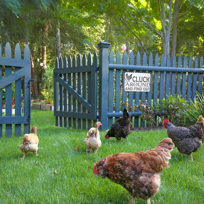 Funny Chicken Gifts Chicken Tin Sign for Home Farm Chicken Coop Farmhouse Kitchen Garden Decor 8 X