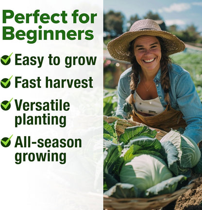 HOME GROWN 7 Cabbage Seeds for Planting - 2000+ Heirloom 𝗡𝗢𝗡-𝗚𝗠𝗢 𝗨𝗦𝗔 Seeds - Golden