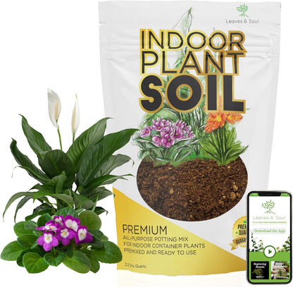 Indoor Plant Soil Premium All Purpose Blend | Large 2.2 Quarts | Ready to Use for Indoor Container