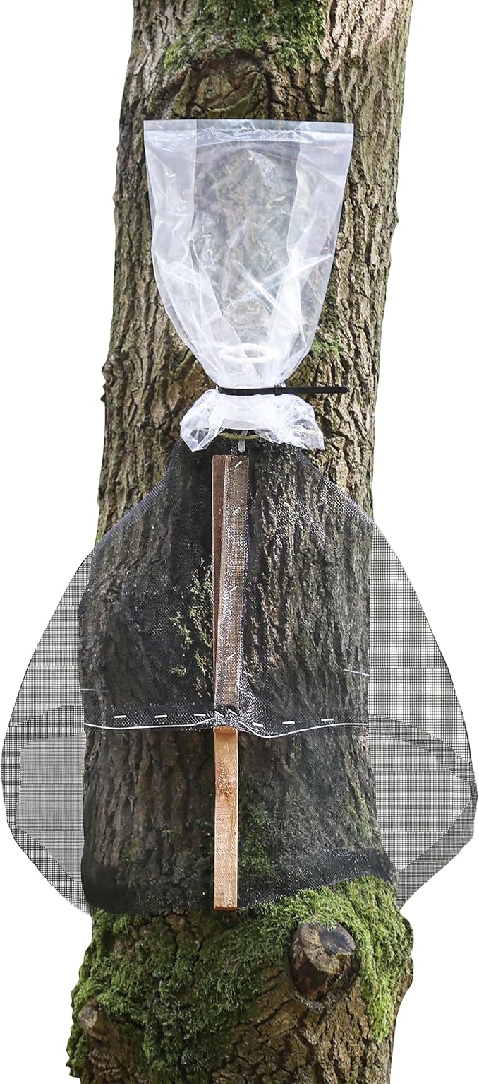 Spotted Lanternfly Tree Trap, Catch Lanternfly Without Catching Other Wildlife, Natural and Non