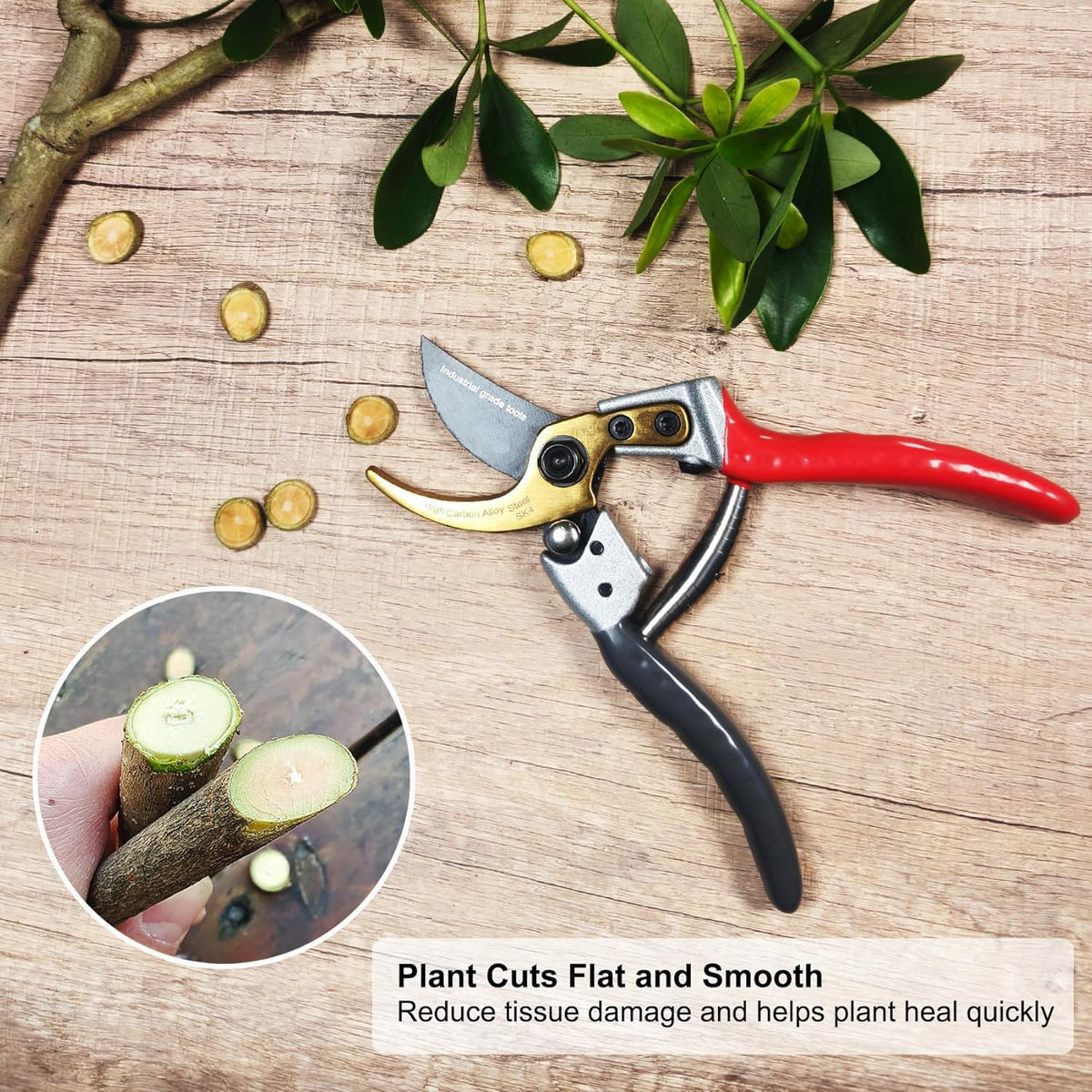 TONMA Bypass Pruning Shears [Made in Japan] 8 Inch Heavy Duty Garden Shears for Gardening
