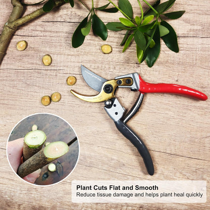 TONMA Bypass Pruning Shears [Made in Japan] 8 Inch Heavy Duty Garden Shears for Gardening