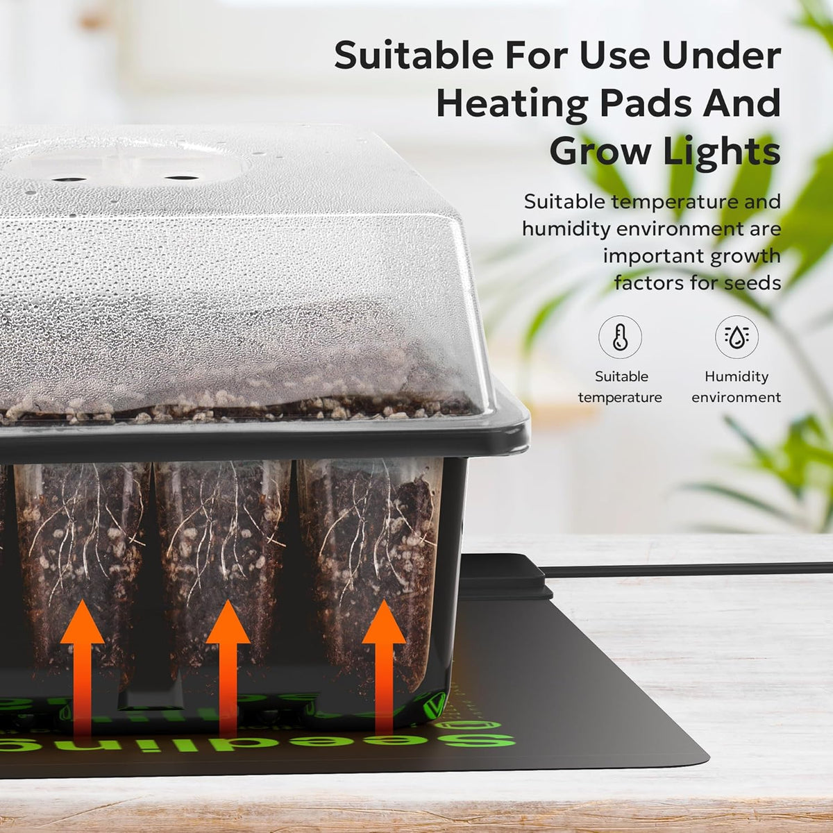 MIXC 10 Packs Seed Starter Tray Seed Starter Kit with Humidity Dome (120 Cells Total Tray) Seed
