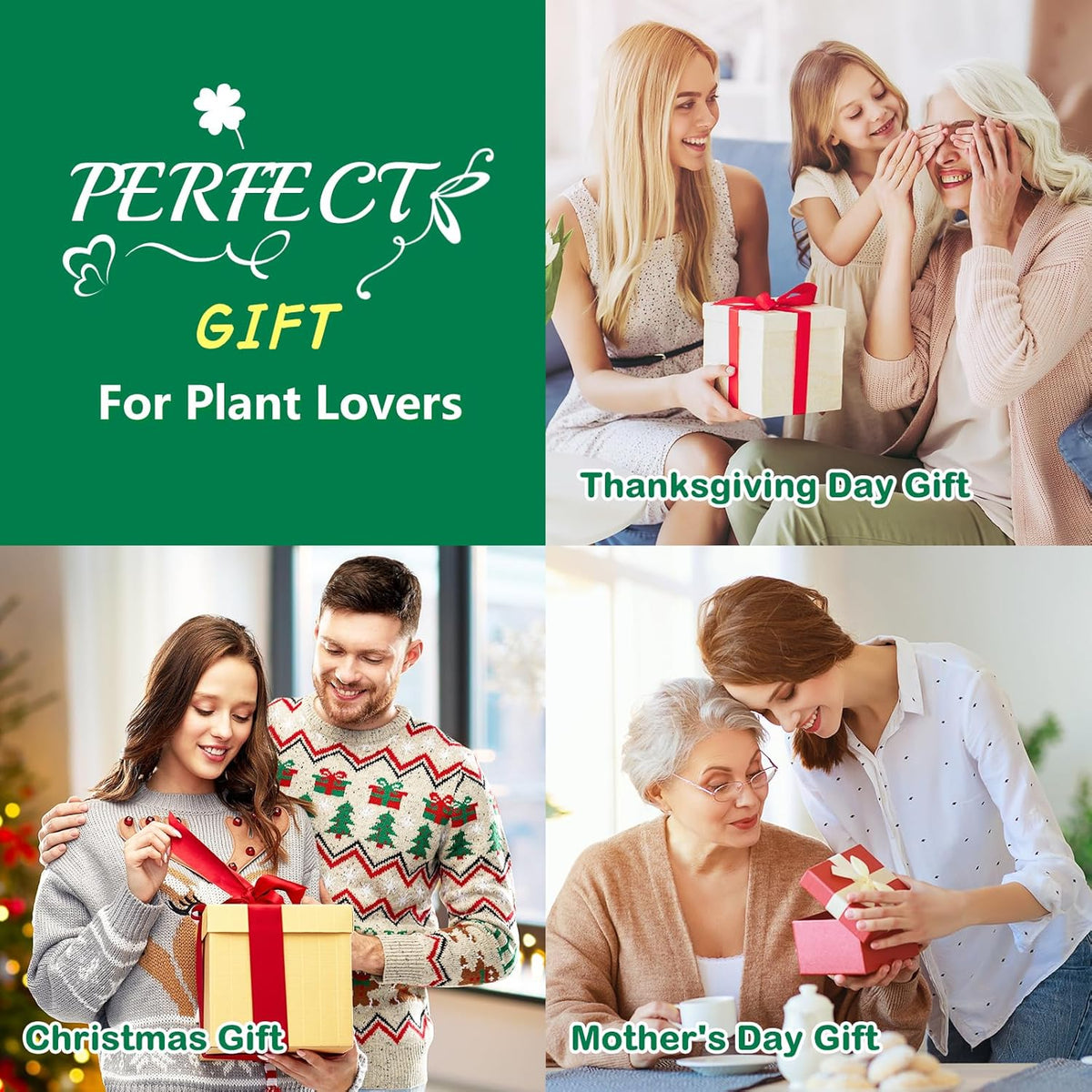 Bonsai Tree Kit, Complete Bonzai Tree Starter Kits with Tools, Unique DIY Gardening Gifts for Mom