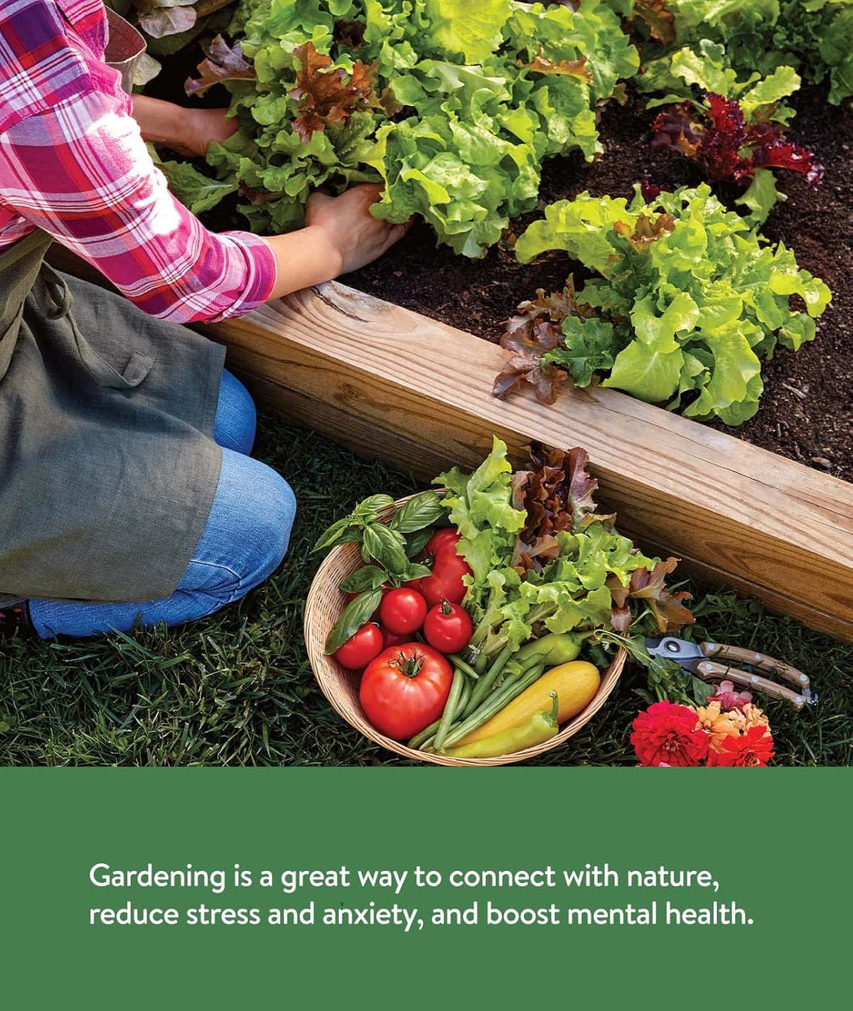 Burpee Garden Sown Flower, Herb & Vegetable 10 Packs of Non-GMO Basil, Lettuce, Cucumber, Radish