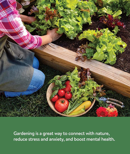 Burpee Garden Sown Flower, Herb & Vegetable 10 Packs of Non-GMO Basil, Lettuce, Cucumber, Radish