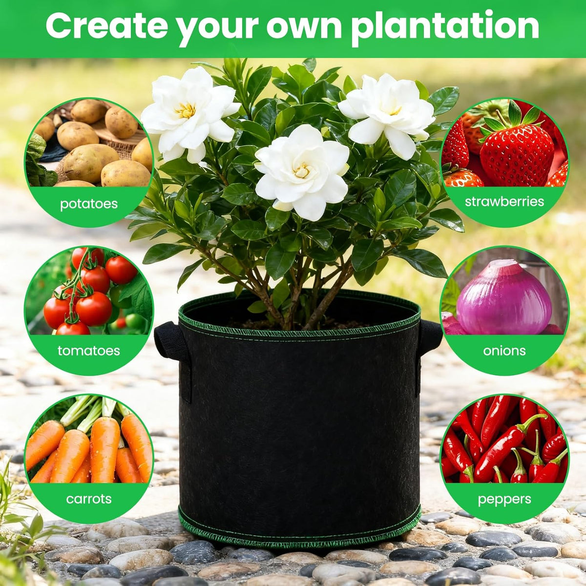 5 Gallon Grow Bags, 10 Pack Heavy Duty Aeration Fabric Pots,Thickened Nonwoven Fabric Pots with