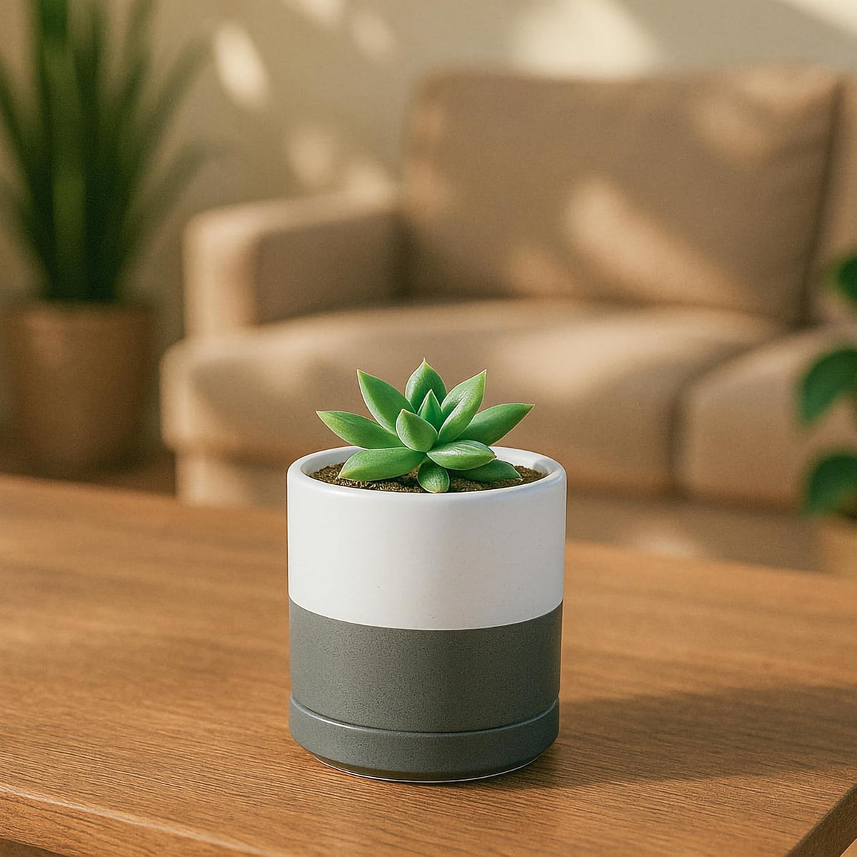 D'vine Dev 3.5 Inch Ceramic Planter Pot with Drainage Hole and Saucer, Indoor Cylinder Round
