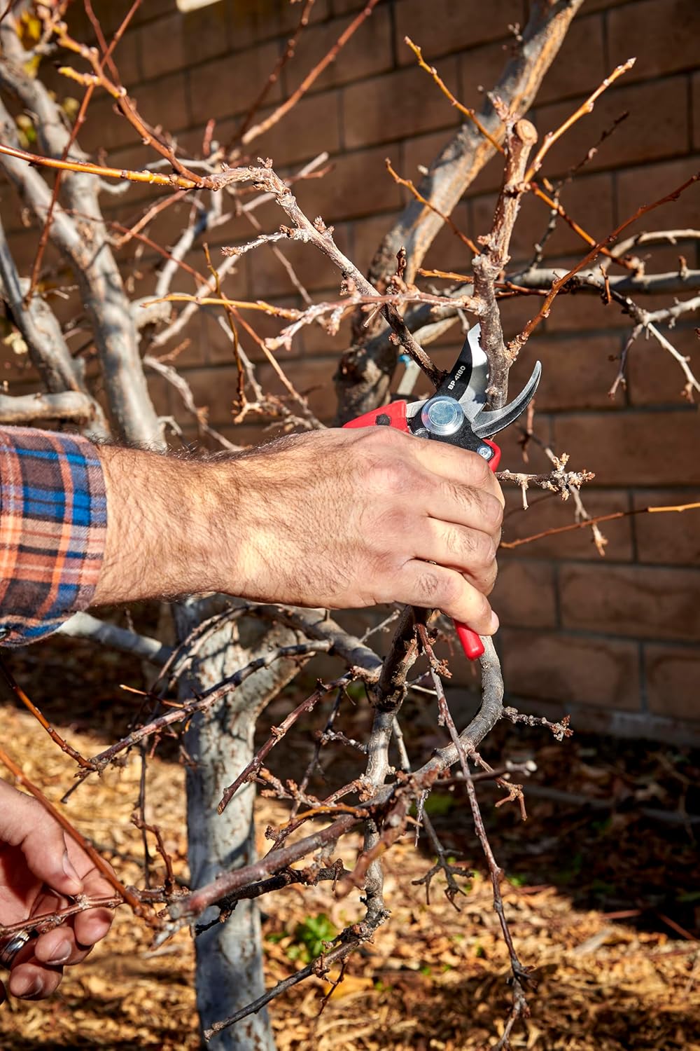 Corona BP 4180 Non-stick Steel Angled Bypass Hand Pruner - 5/8 inch Cut Capacity Stem and Branch