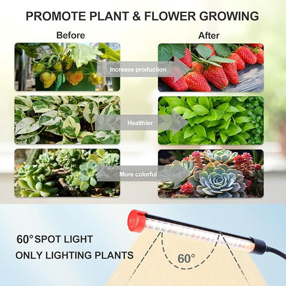 6-Head Table Top Grow Lights for Indoor Plants, Seed Starting, Bonsai with Timer, 54W Power Home