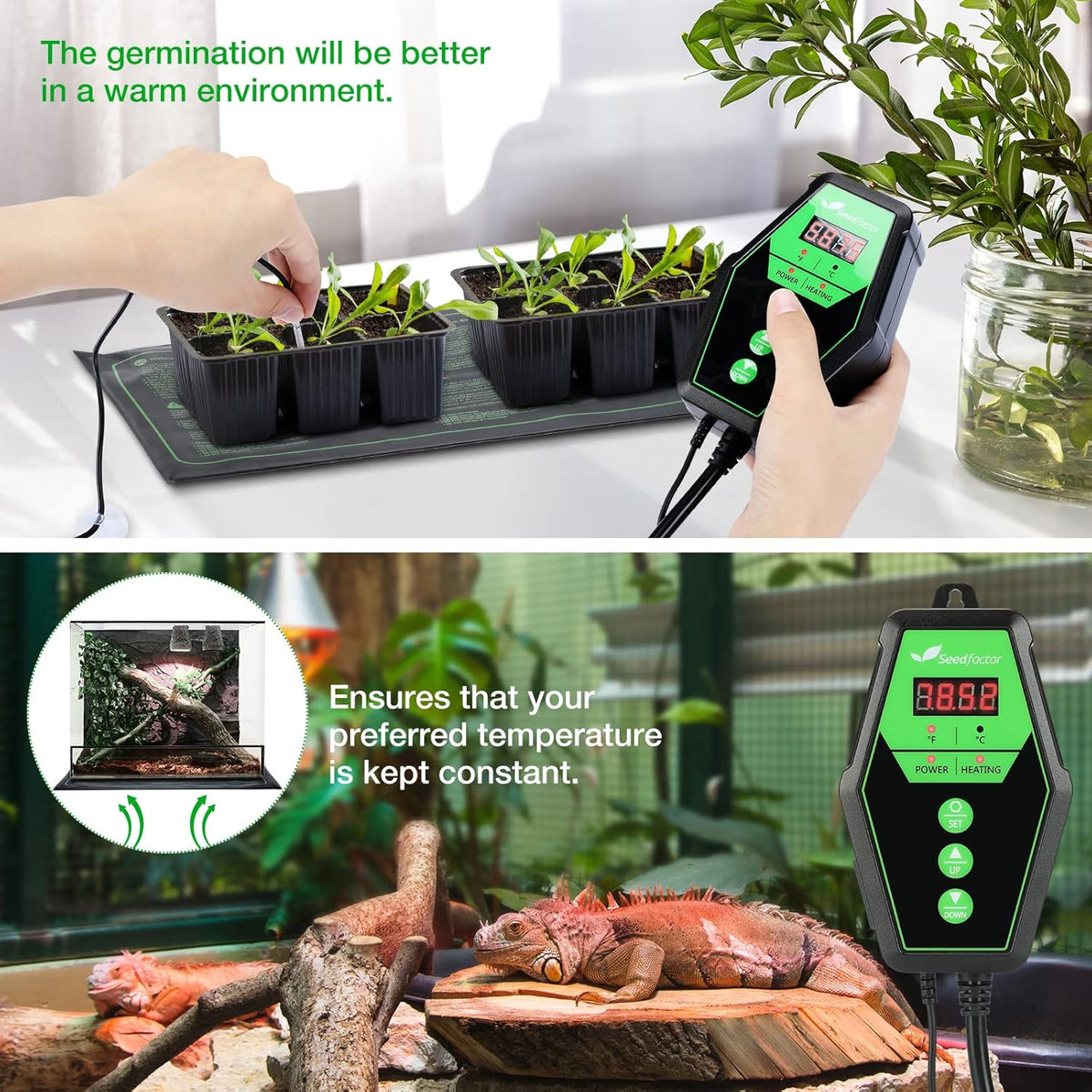 Seedfactor Digital Heat Mat Thermostat Controller for Seed Germination, Reptiles and Brewing