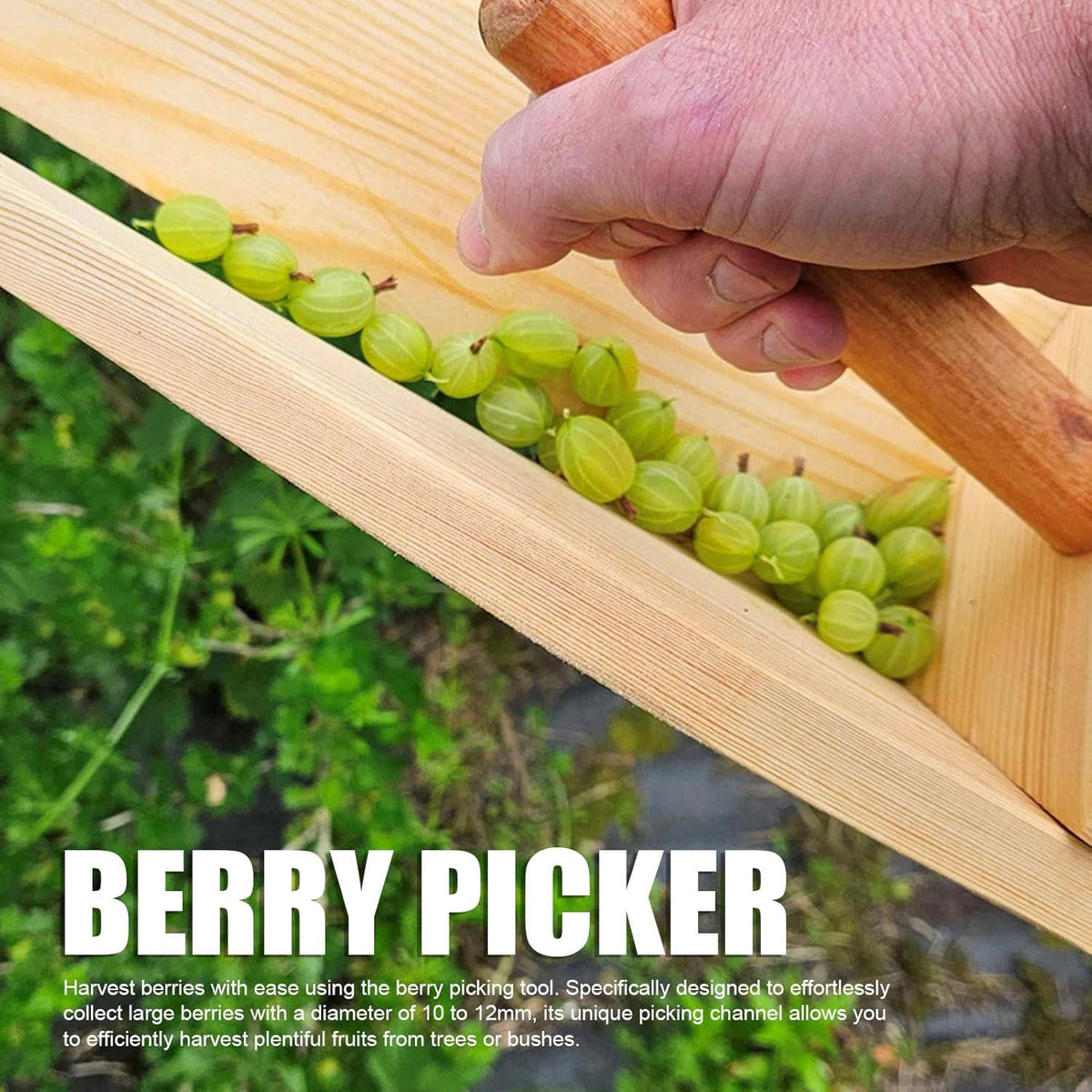 MAVIS LAVEN Berry Picker Tool, Wooden Gooseberry Harvesting Scoop, Large Mouth Design Berrry