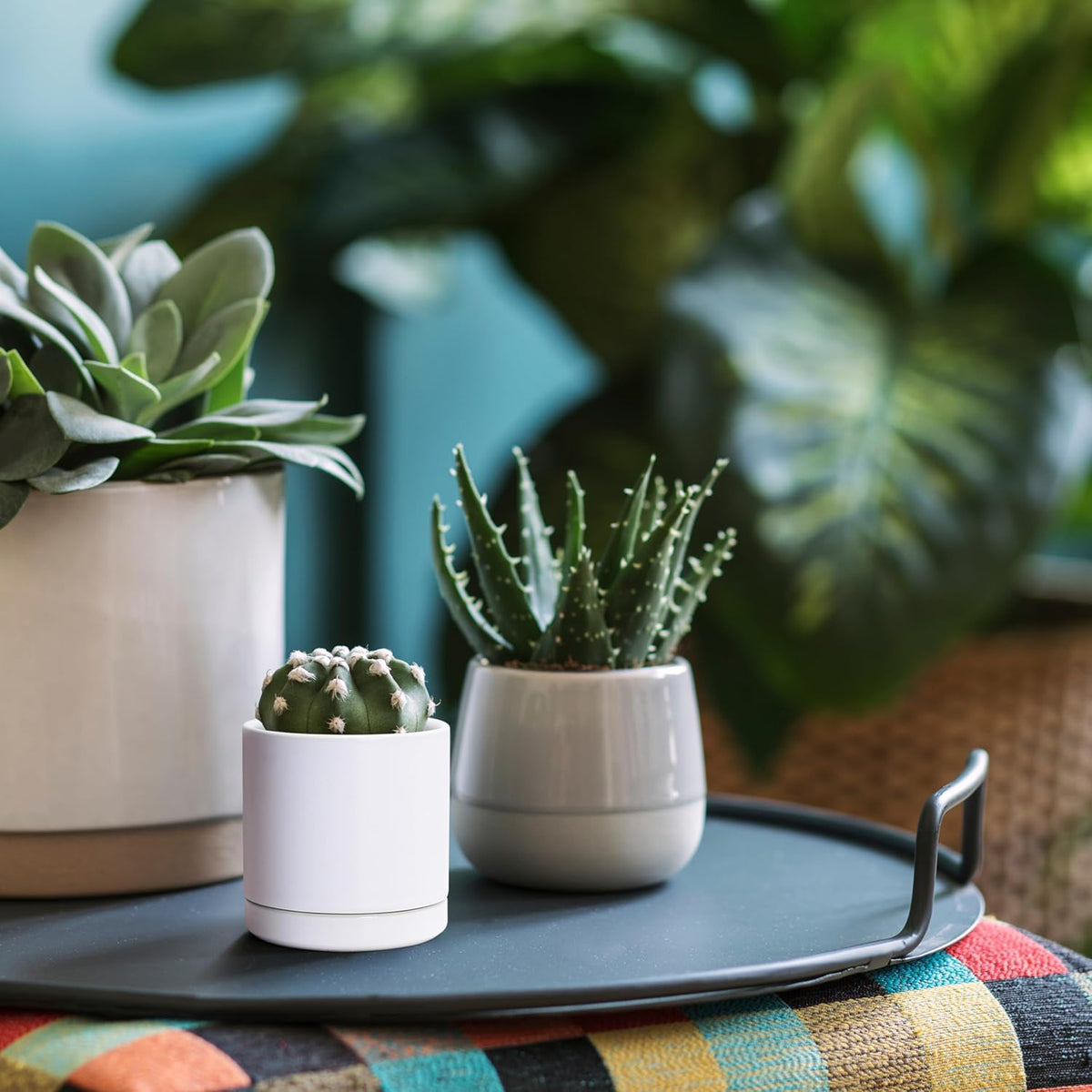 D'vine Dev 3.5 Inch Ceramic Planter Pot with Drainage Hole and Saucer, Indoor Cylinder Round