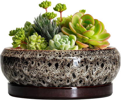 Succulent Planter 6 Inch - Ceramic Bonsai Pots with Drainage Hole and Tray, Shallow Plant Pot