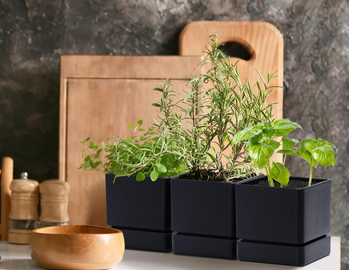 4 Inch Herb Planter Pot, Plastic Planter with Drainage Holes and Saucer, Modern Decorative