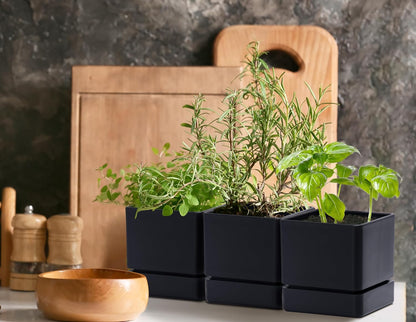 4 Inch Herb Planter Pot, Plastic Planter with Drainage Holes and Saucer, Modern Decorative