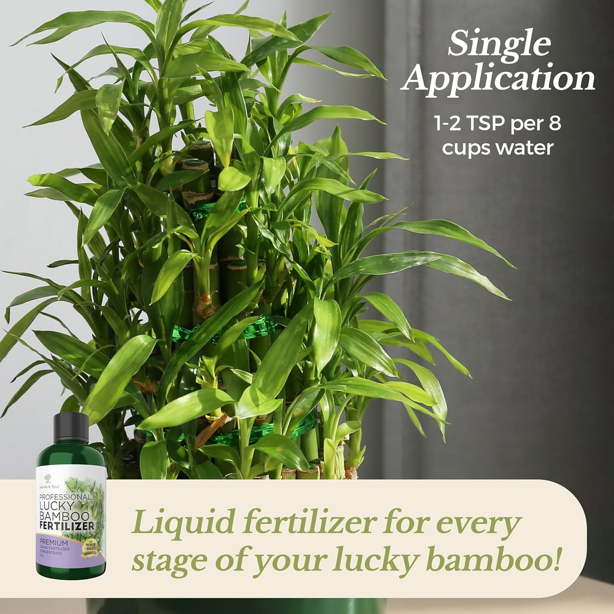 Professional Liquid Lucky Bamboo Fertilizer | 3-1-2 Concentrate for Flowering Plants |