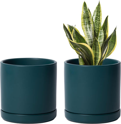 D'vine Dev Set of 2 Plants Pots, 6 Inch Ceramic Planter Pot for Plants with Drainage Hole and