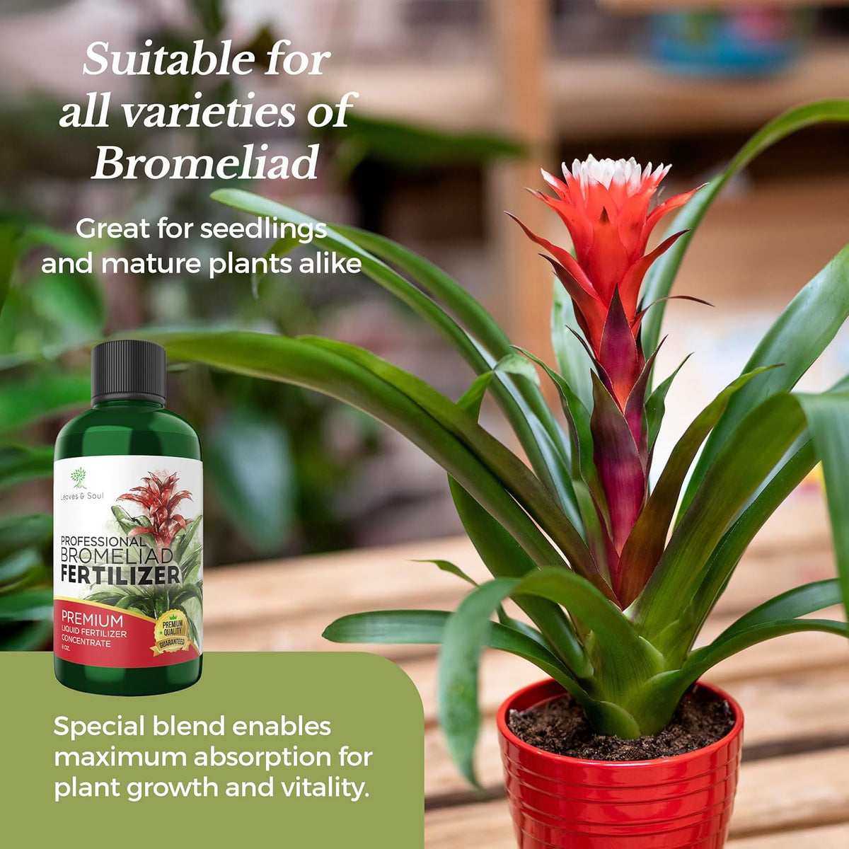 Professional Liquid Bromeliad Plant Fertilizer | 3-1-2 Concentrate for Plants and Flowers |