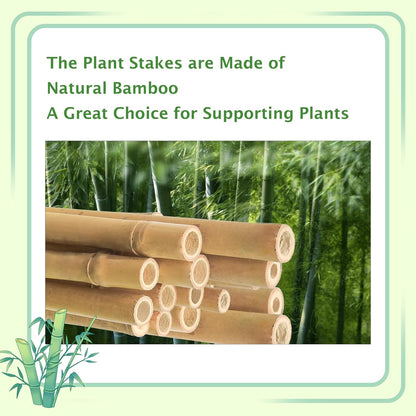 Bamboo Stakes 8FT, 8 Feet Natural Bamboo Plants Stakes, 1" D Thicker Heavy Duty Garden Stakes 10