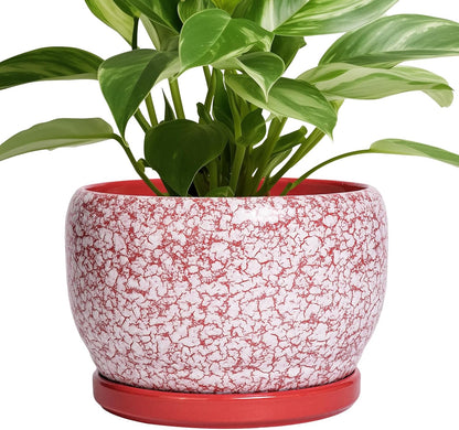 SQOWL Ceramic Pots for Plants - 8 inch Indoor Planter with Drainage Hole and Tray, Ceramic Flower