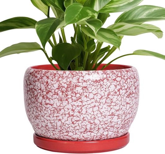 SQOWL Ceramic Pots for Plants - 8 inch Indoor Planter with Drainage Hole and Tray, Ceramic Flower