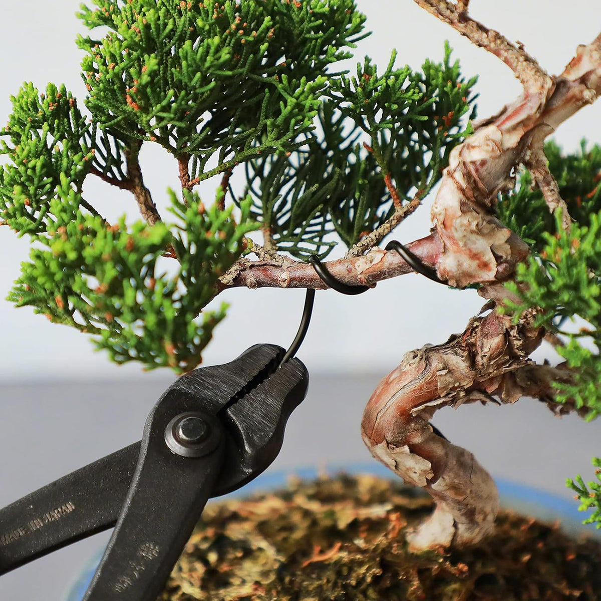 Wazakura 150 gr Black Anodized Aluminum Bonsai Training Wire Made in Japan (3 mm, Black)