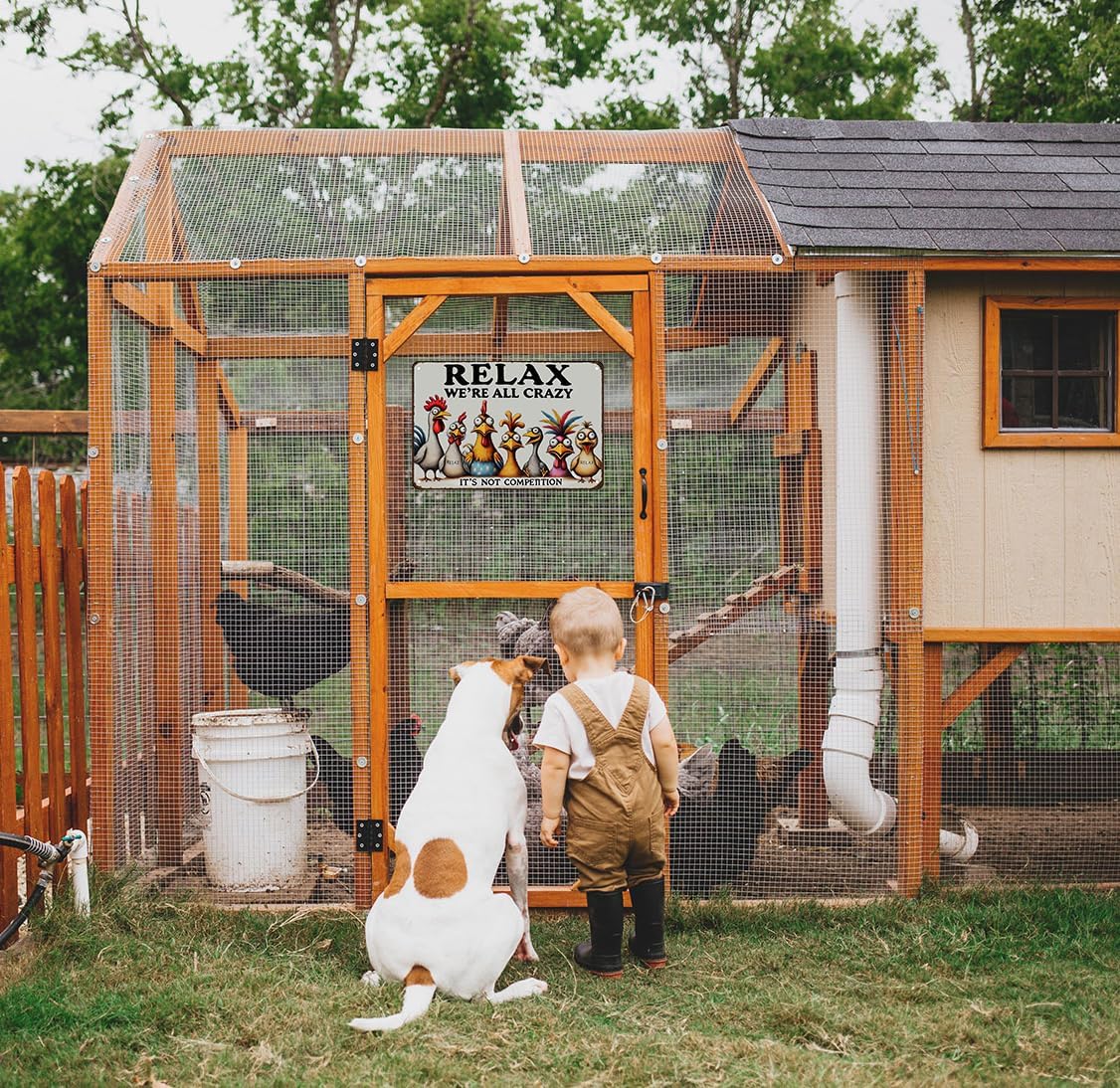 Funny Chicken Gifts Relax We‘re All Crazy It's Not Competition Tin Sign for Home Farm Chicken Coop