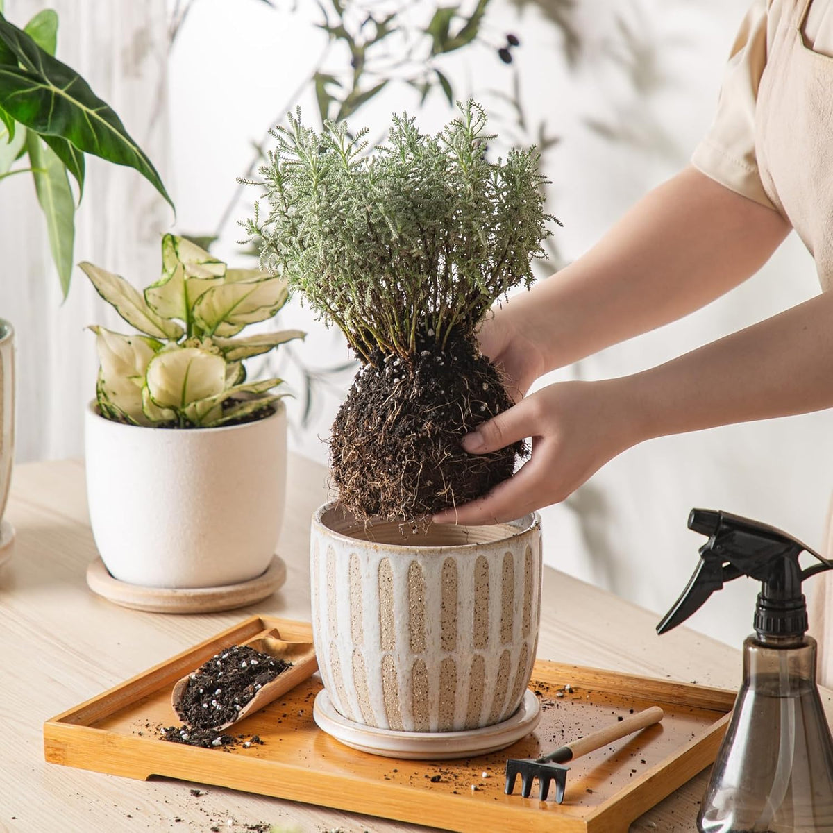 Ceramic Flower Pots Indoor-Outdoor: 5.75 Inch Planters with Drainage Holes & Saucer - Modern