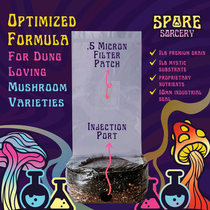 2 LB All-in-One Grow Bag: Up to 16oz of Mushrooms! Nutrient-Enhanced, Injection Port, Just Add Your