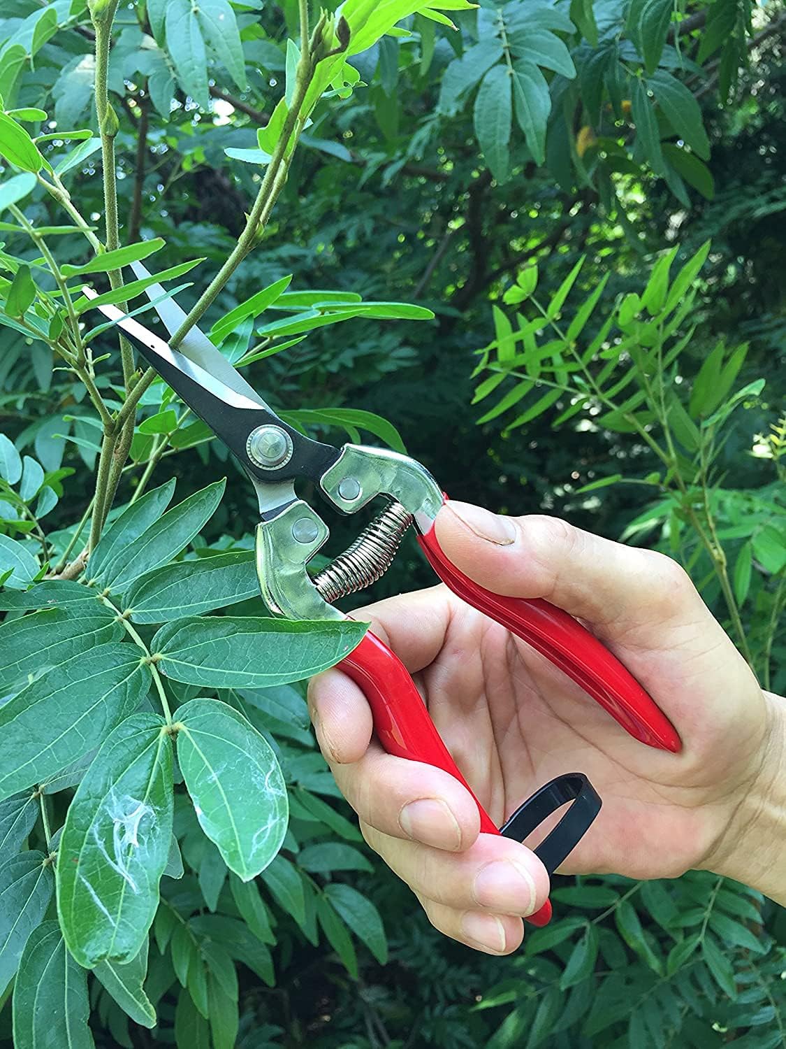 gonicc Professional Micro-Tip Pruning Snip (GPPS-1008), Small Garden Hand Pruner & shears For