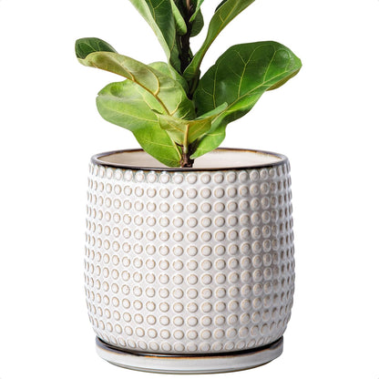 D'vine Dev 8 Inch Ceramic Beaded Stoneware Planter Pot - Flower Pot with Drainage Holes and Saucers