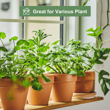 Orceler 6 inch Terracotta & Clay Pots for Plants with Saucer, Medium Terra Cotta Plant Pots with