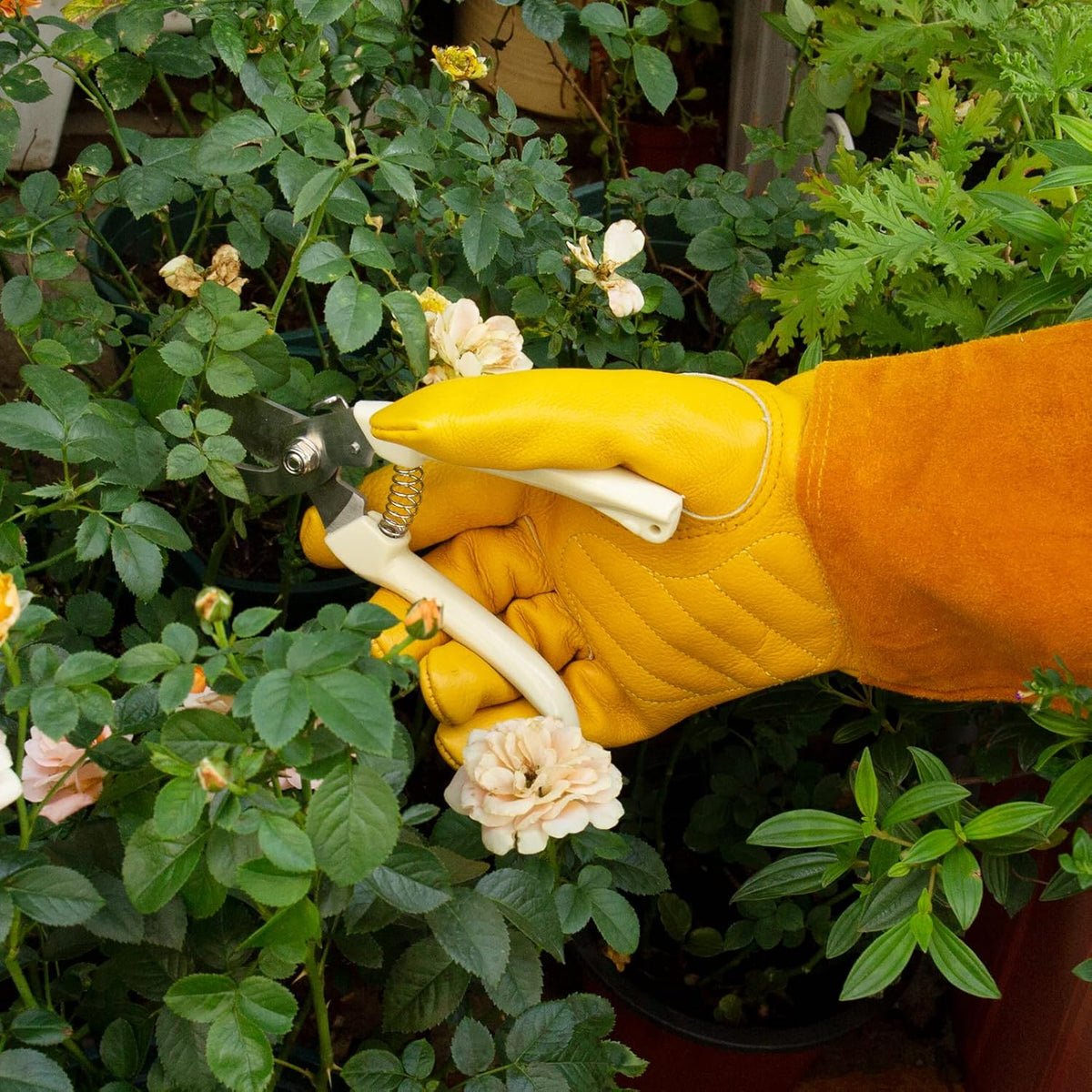 Acdyion Gardening Gloves for Women/Men Rose Pruning Thorn & Cut Proof Long Forearm Protection