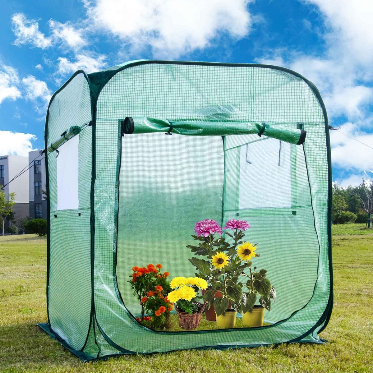 Porayhut Pop Up Greenhouse Tent,Portable X-Large Walk-in Flower House ,Indoor Outdoor Gardening