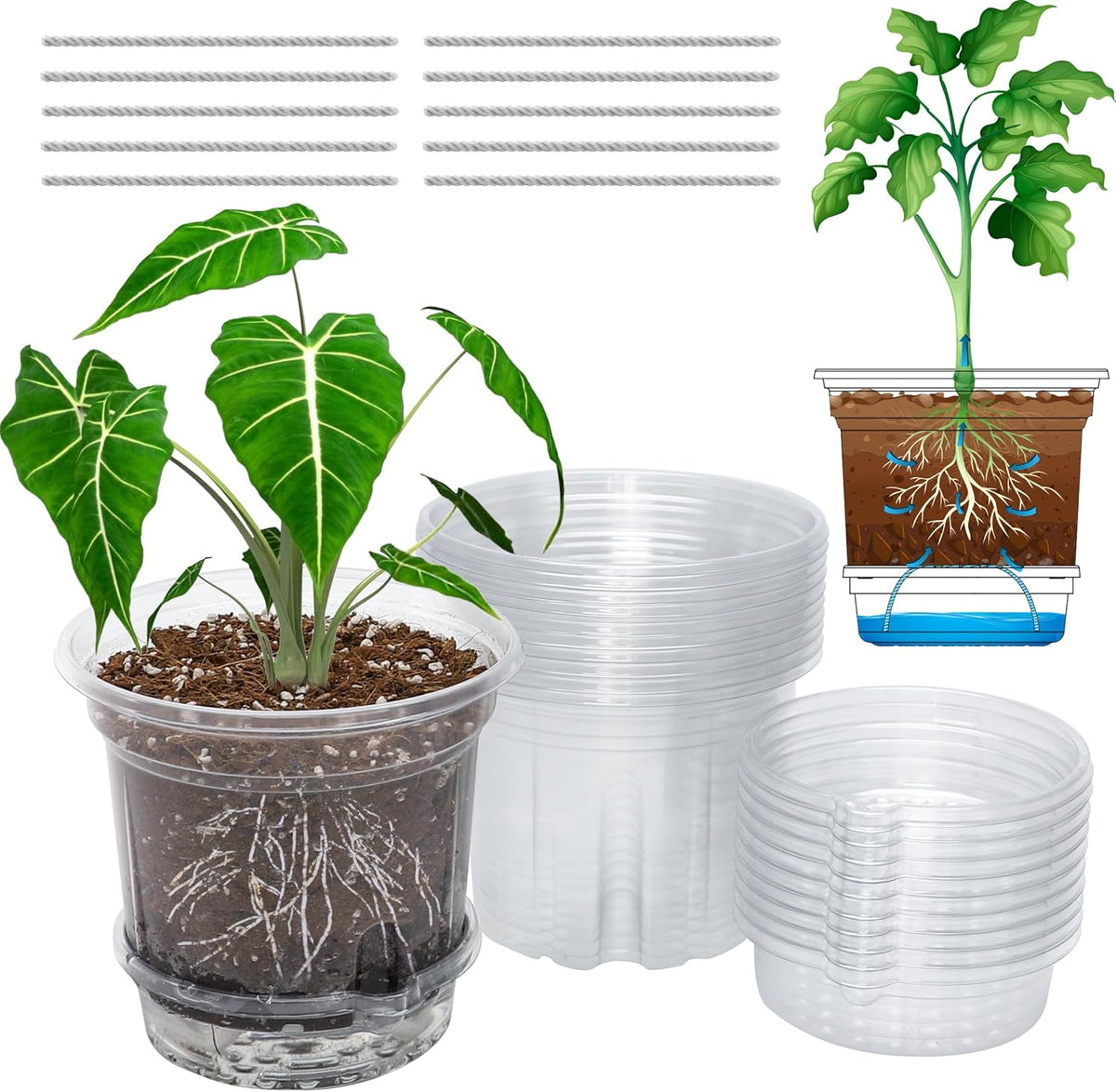 20 Pack 5 Inch Clear Self Watering Plant Pots with Bottom Water Tray & Watering Rope, Transparent
