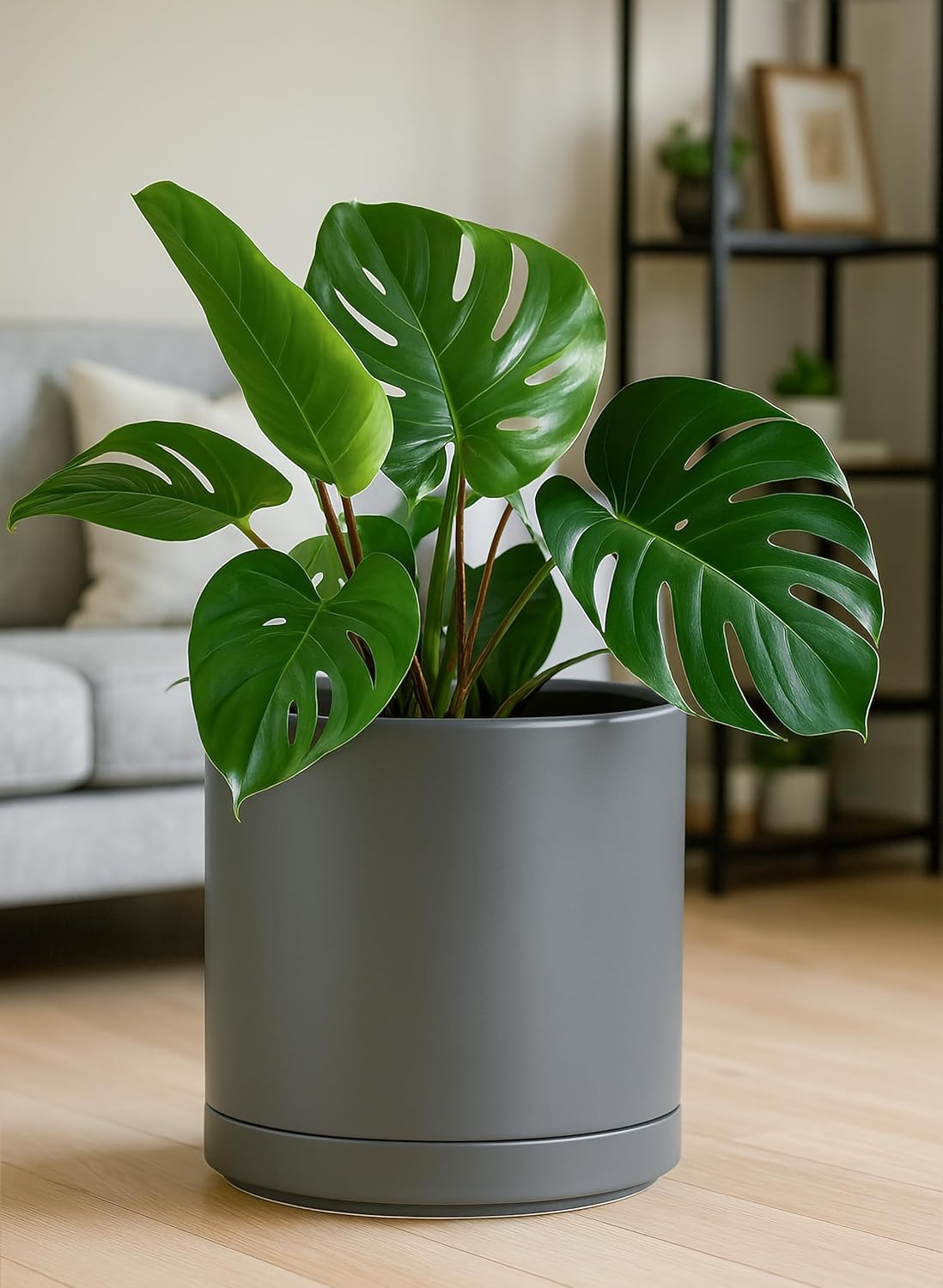 D'vine Dev 12 Inch Ceramic Planter Pot with Drainage Hole and Saucer, Indoor Cylinder Round Planter
