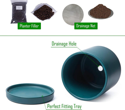 D'vine Dev Set of 2 Plants Pots, 6 Inch Ceramic Planter Pot for Plants with Drainage Hole and