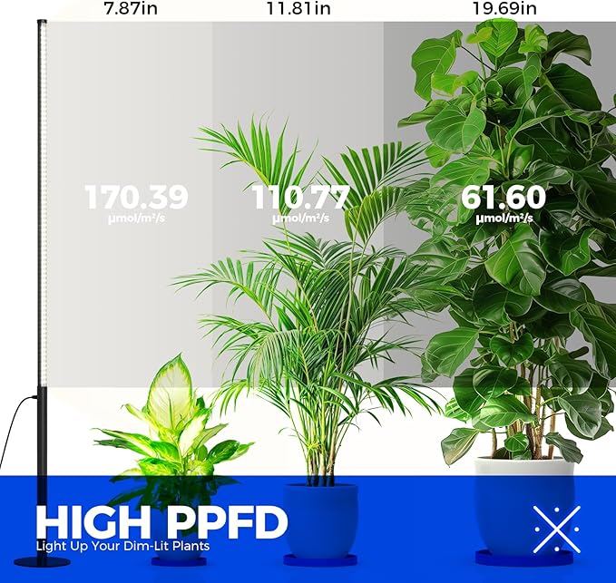 Barrina T10 Pro Standing Grow Light with Timer, 42W, 5000K, Full Spectrum Vertical Tall Grow Lights