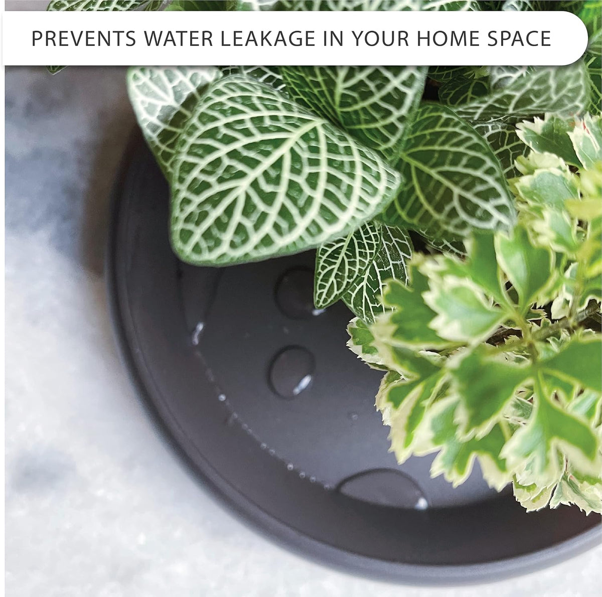 Plant Saucer 6 Pack Drip Trays Planter Pot Base Heavy Duty Plastic Drainage Tray for Indoor