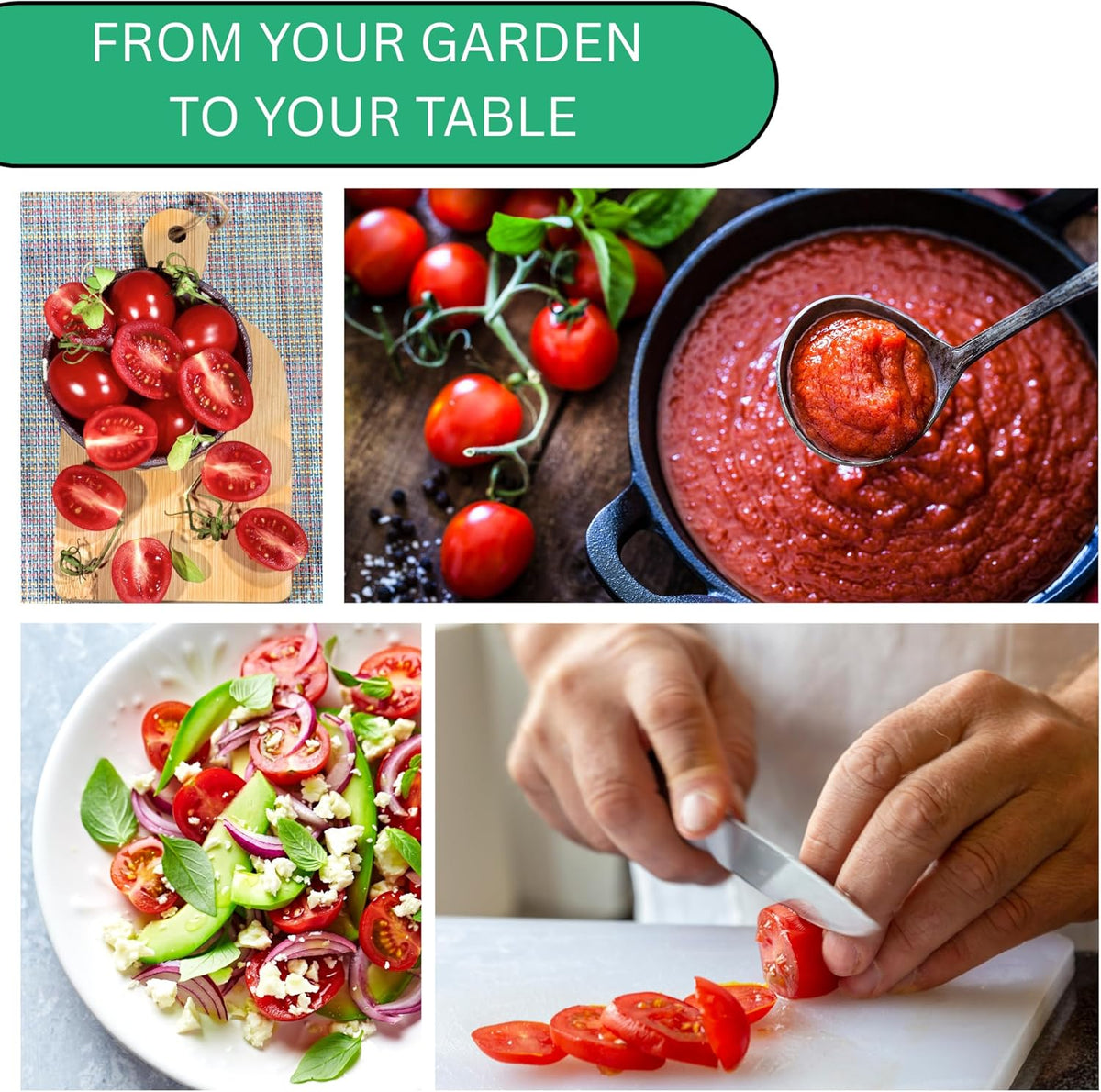 Woods Creek Seeds: Roma VF Tomato Seeds for Planting - Over 350 Heirloom Tomato Seeds for Planting