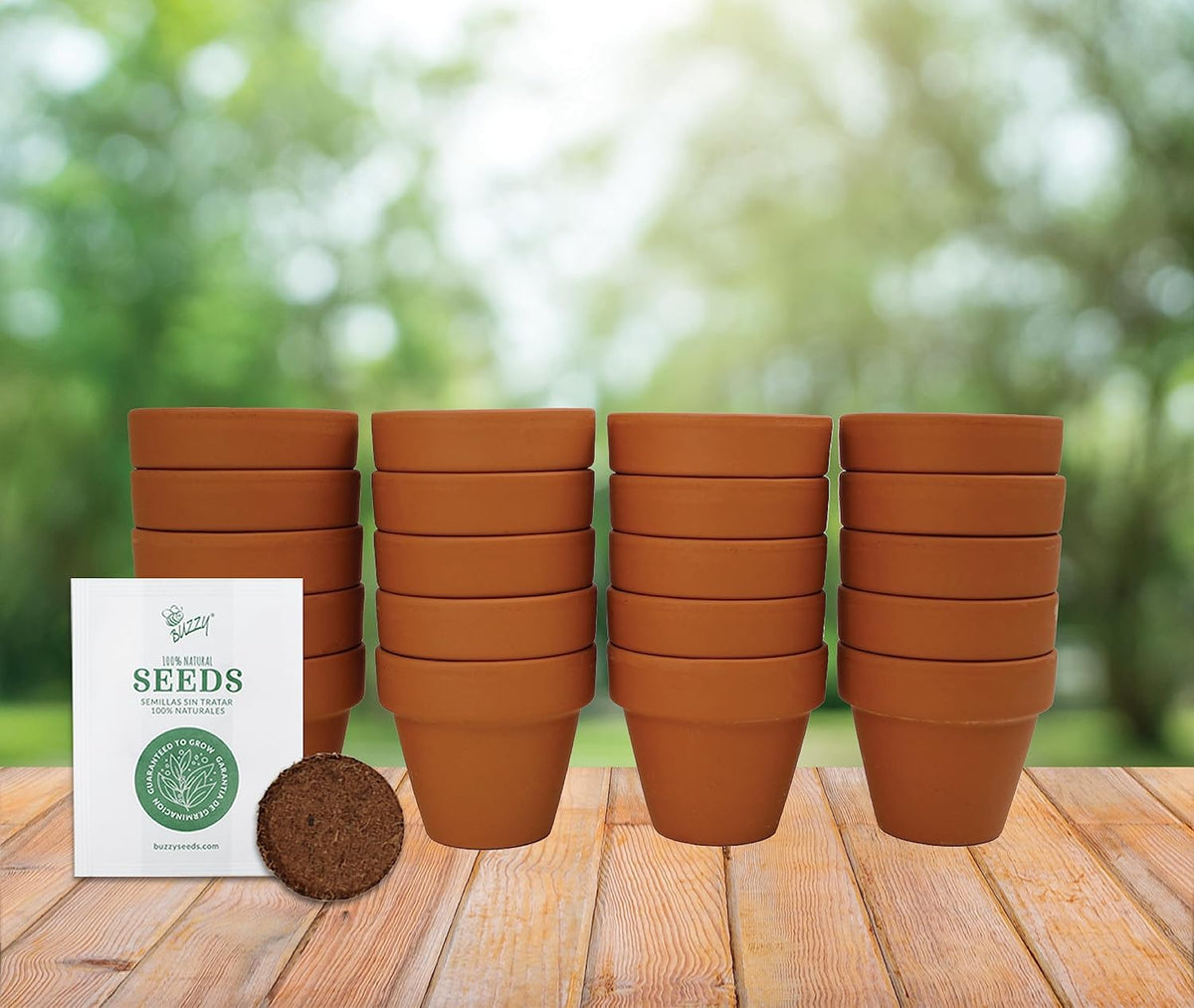 BUZZY Seeds Terracotta Mini Grow Pots | Herb, Plant, Flower Starter Kit for Kids & Adults |