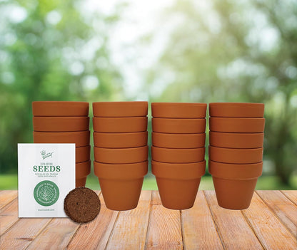 BUZZY Seeds Terracotta Mini Grow Pots | Herb, Plant, Flower Starter Kit for Kids & Adults |