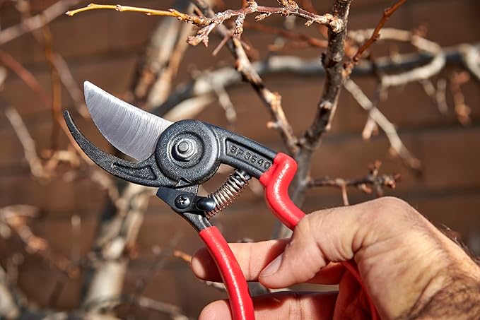 Corona BP 3640 Forged Steel ErgoACTION Angled Bypass Hand Pruner - 3/4 inch Cut Capacity Stem and
