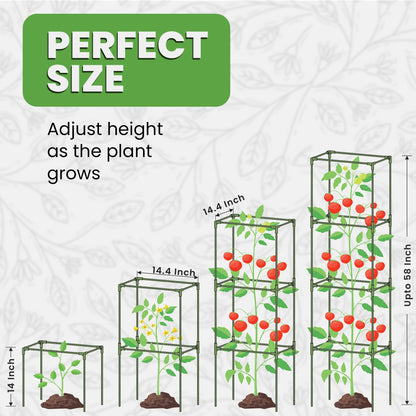 Tomato Cage Square - Large Trellis Stakes and Plant Support Structures for Vegetables and Climbing