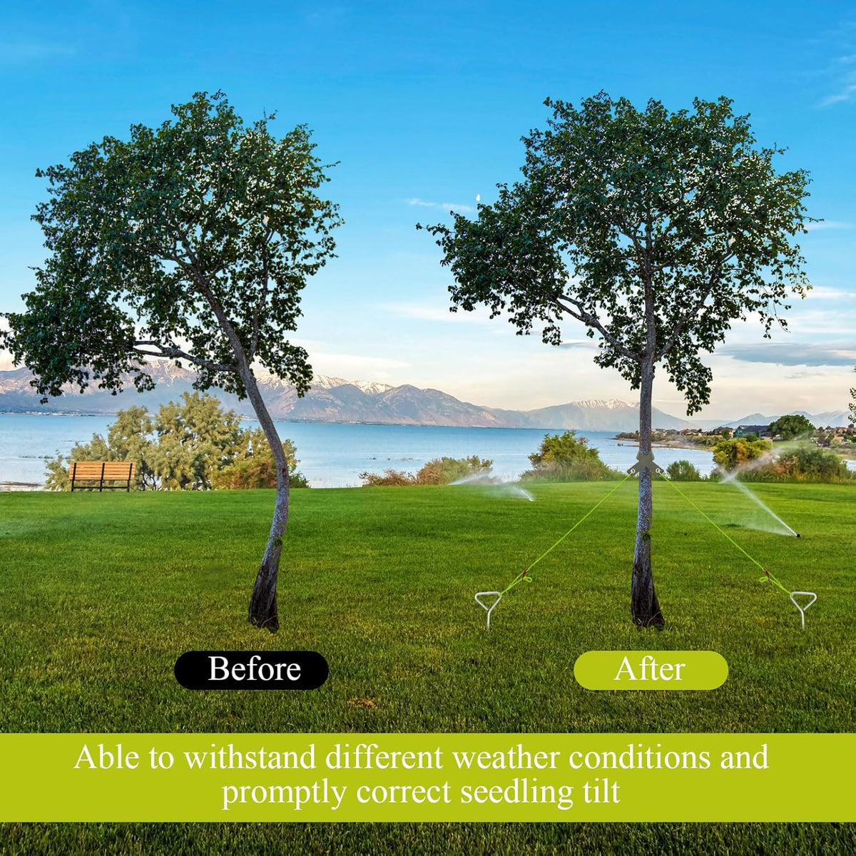 Sintuff 12 Set Tree Stakes and Supports Kit for Anti Hurricane Leaning Trees Straightening Heavy