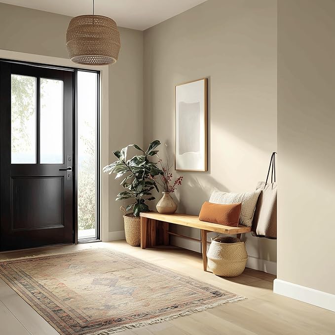 EVOLVE Paint & Primer: Environment-friendly, Low Sheen with One-coat Coverage for Interior &