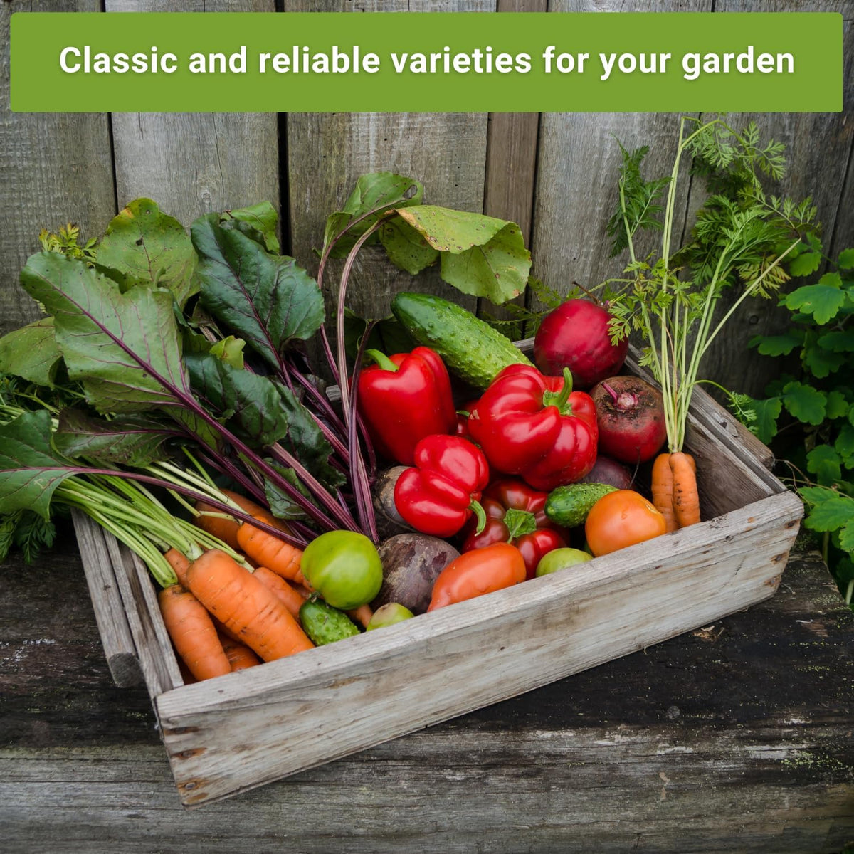 Sow Right Seeds - Classic Vegetable Garden Seed Collection for Planting - Non-GMO Heirloom