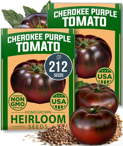 HOME GROWN Cherokee Purple Tomato Seeds 2 Pack (Solanum lycopersicum) - 212 Seeds, 𝗡𝗢𝗡-𝗚𝗠𝗢
